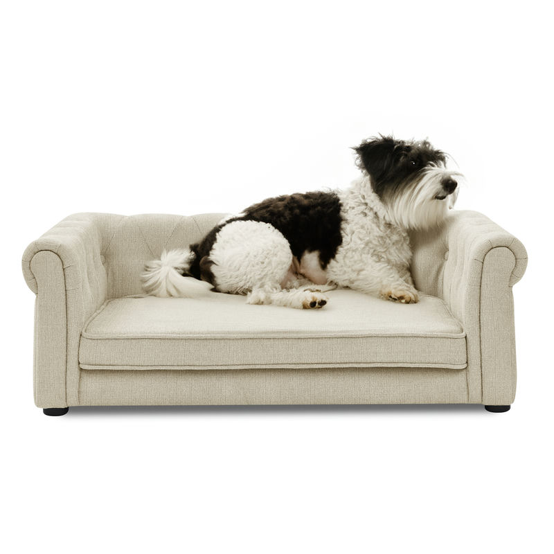 Modern and Stylish Dog Sofa for Small and Medium Dogs