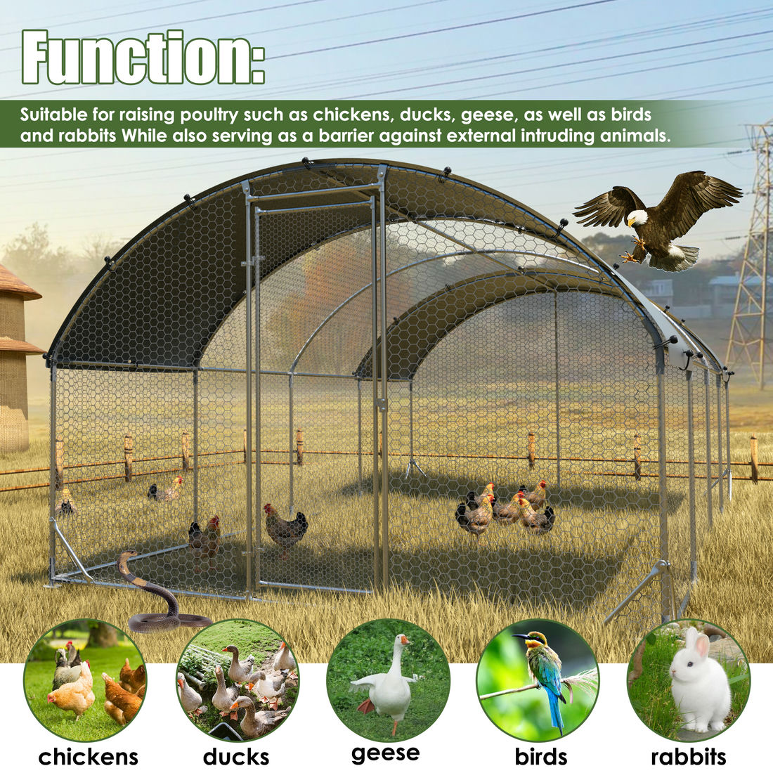 Large metal chicken coop,duck rabbit sheep bird outdoor house 9.2'W x 24.9'L x 6.5'H - Image 4